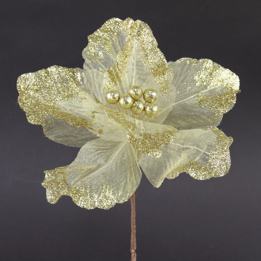 8"SHR/GLT EDGE POINSETTIA GLD