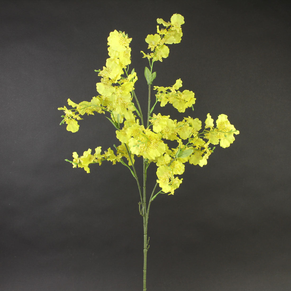33"DANCING ORCHID STEM