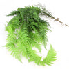 PLASTIC HANGING FERN
