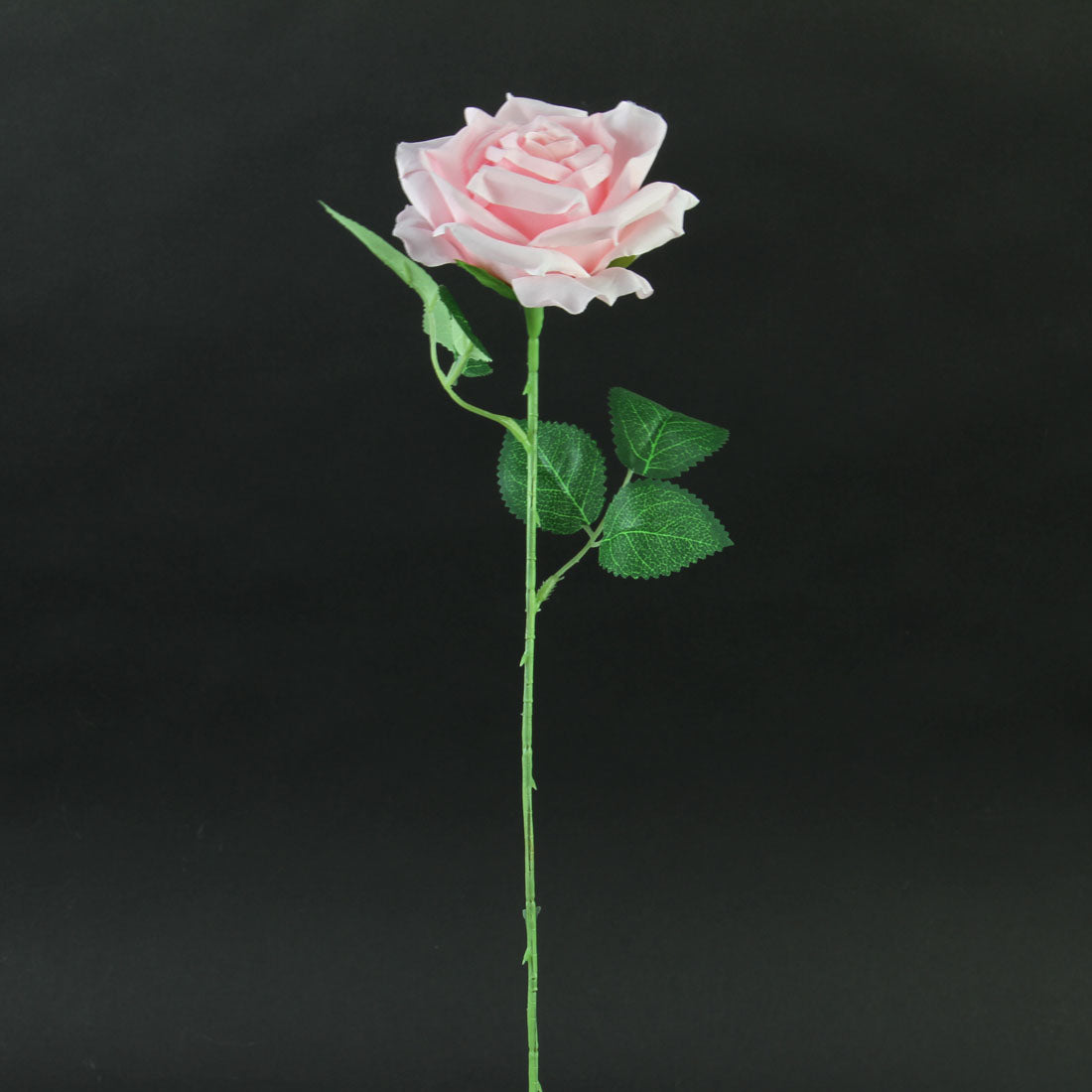 20"SINGLE OPEN ROSE