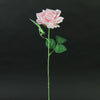 20"SINGLE OPEN ROSE