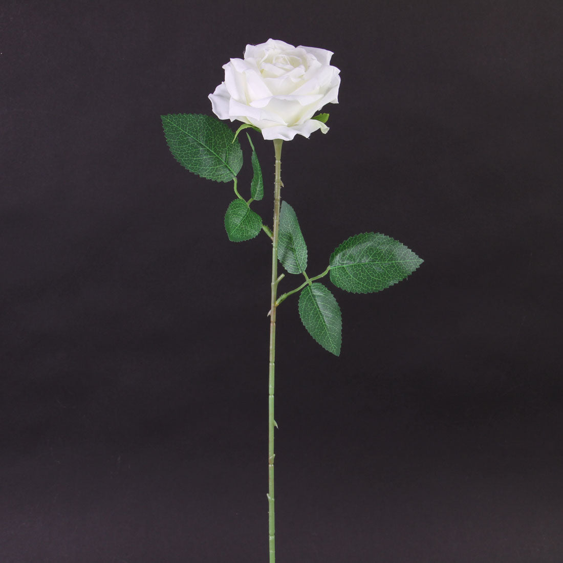 26"ROSE W/THORNS STEM