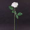 26"ROSE W/THORNS STEM