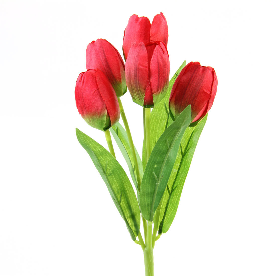 TULIP BUSH X5  RED