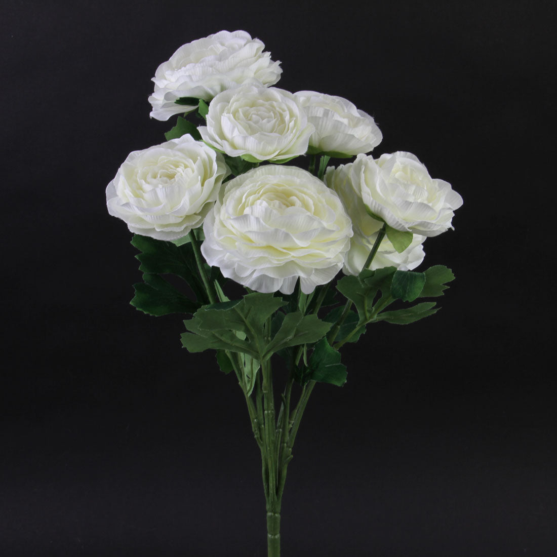 ENGLISH ROSE BUSH X7