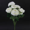 ENGLISH ROSE BUSH X7