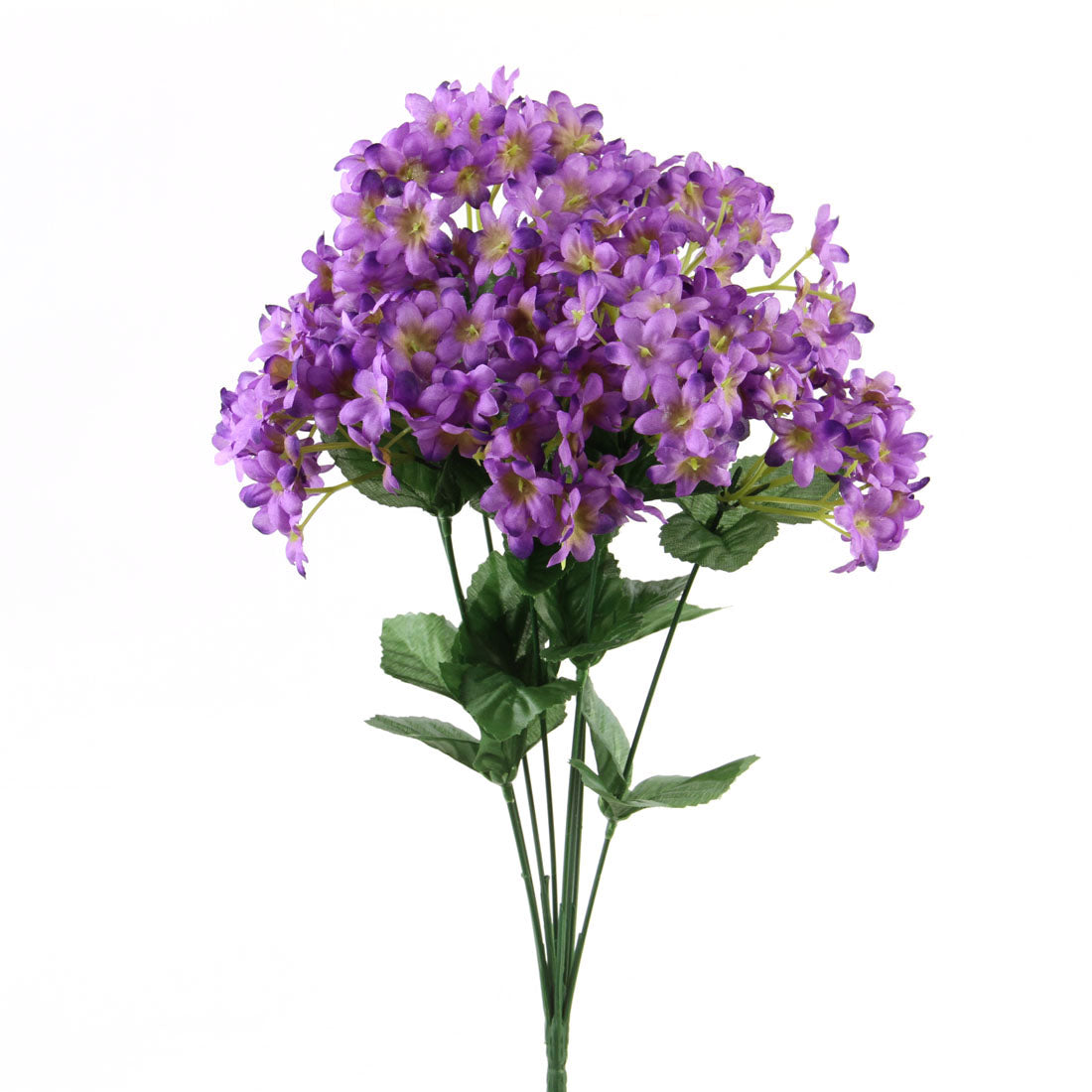 MINI HYDRANGEA BUSH X8