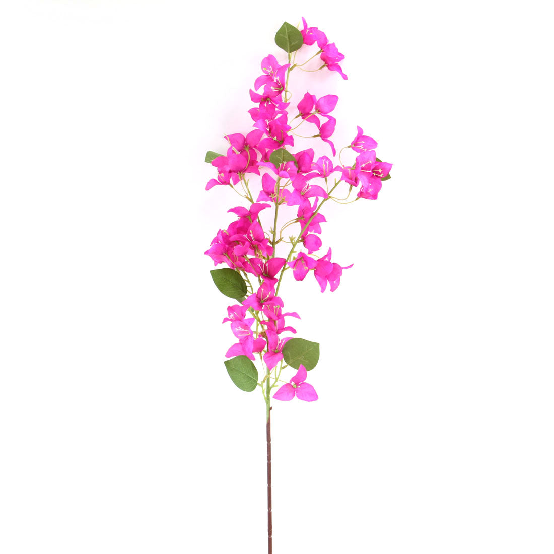 47"BOUGAINVILLEA SPRAY FUCHSIA