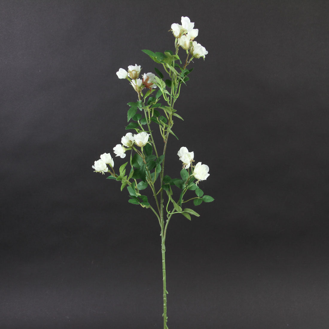 25"MINI ROSE SPRAY CREAM