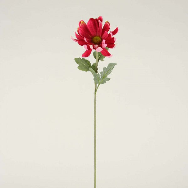 23"FUGI GERBERA DAISY A4 B16
