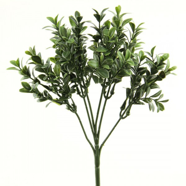 10"DELUXE BOXWOOD PICK