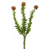 PLST.LADDER SUCCULENT A25
