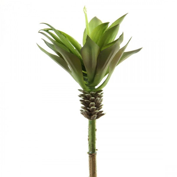 PLST.YUCCA SUCCULENT A4