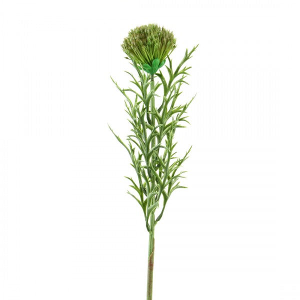 31.5"PLST.PROTEA A4