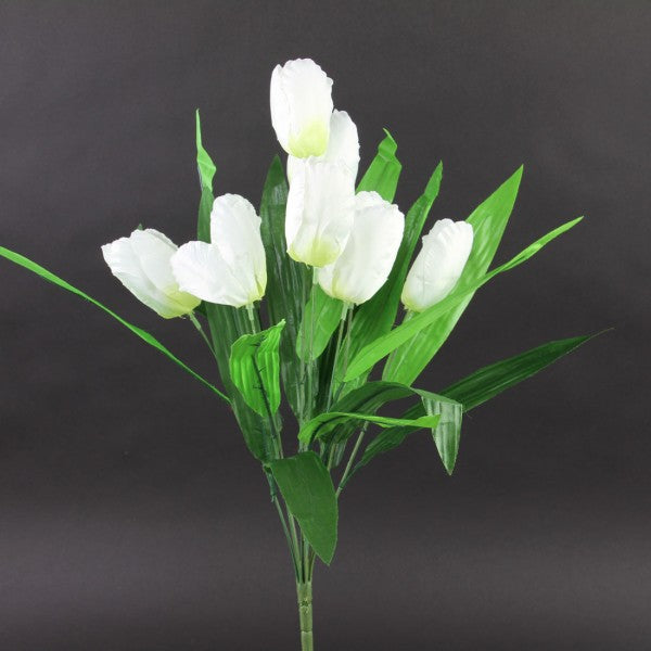 20"TULIP BUSH A4