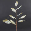 26"SHR.MET BEACH LEAF A6