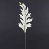 28"GLT/JWL VEL.ACANTHUS LF A6