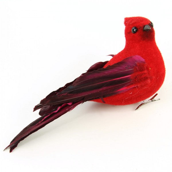 9"VEL/FTHR CARDINAL CLIP A25