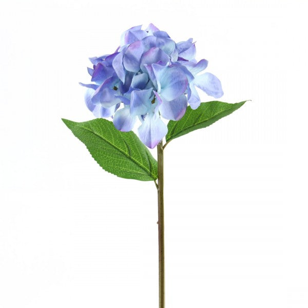 15" BUTTERFLY HYDRANGEA STEM