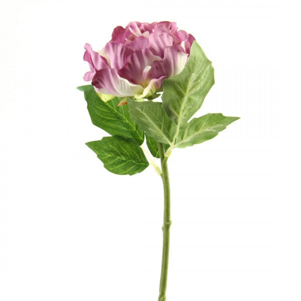 13" PRINCESS PEONY STEM