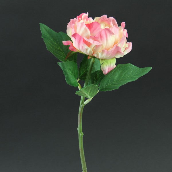 13" PRINCESS PEONY STEM