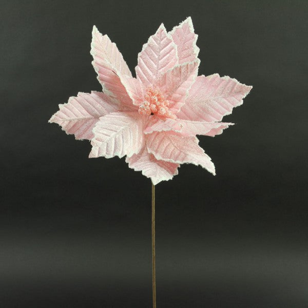 20"SUGARED POINSETTIA STEM