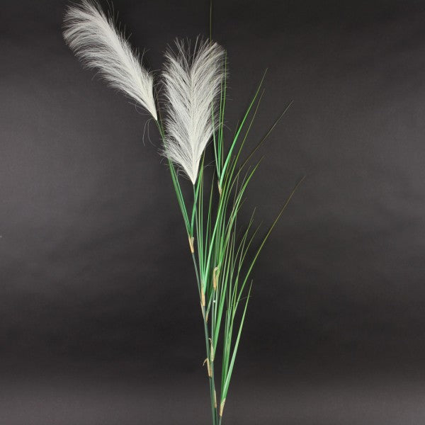 PLUME GRASS SPRAY X2 CREAM/GRN