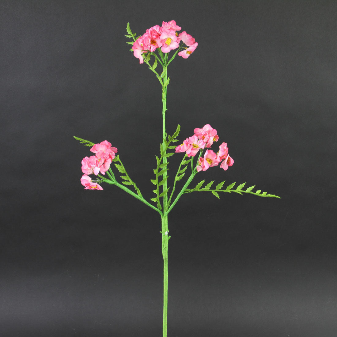 25"TRPLE PHLOX SPRY H.PINK A4