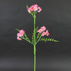 25"TRPLE PHLOX SPRY H.PINK A4