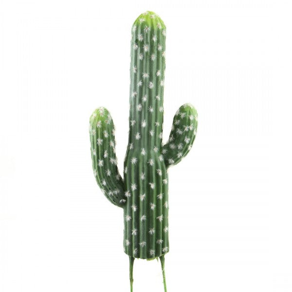 13"FINGER CACTUS X3