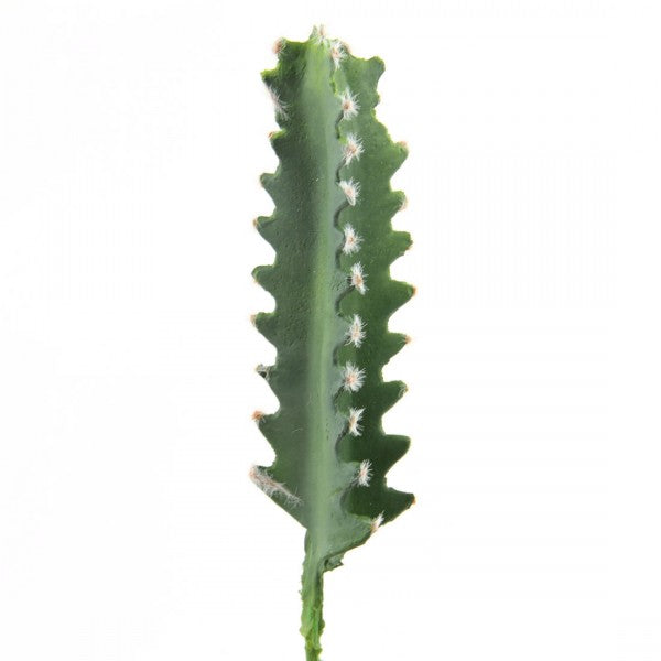 8"PU DRAGON BONE CACTUS A25