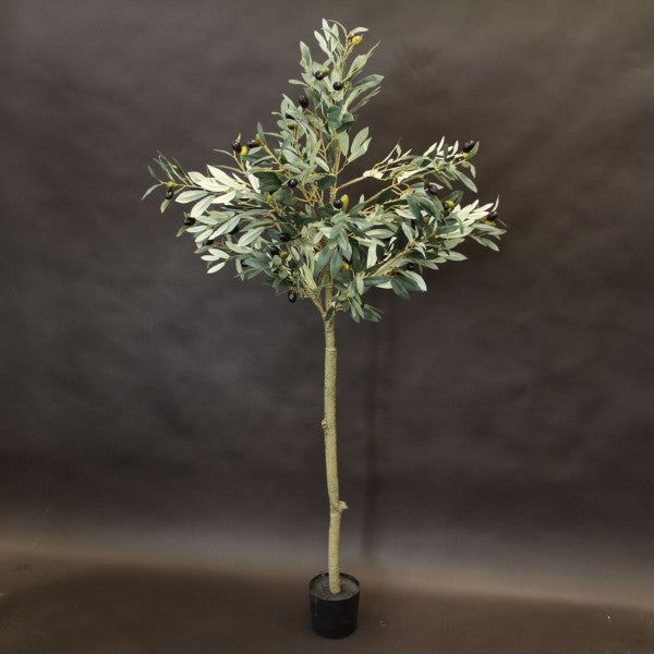 56"OLIVE LEAF TOPIARY W/POT