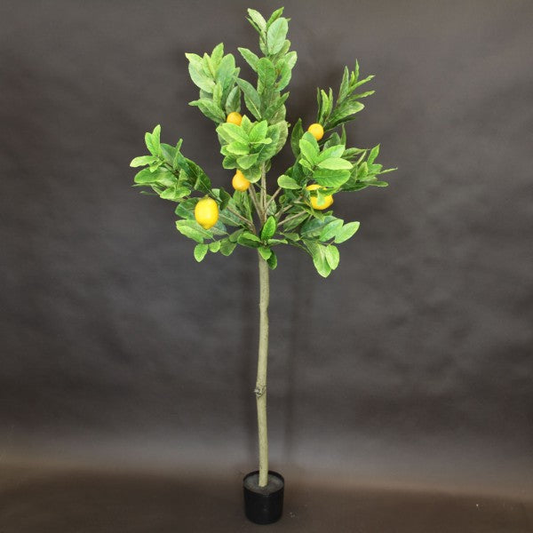 56"LEMON TREE TOPIARY W/POT