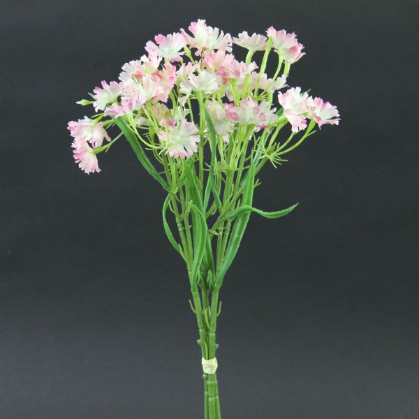 15" DIANTHUS BUNCH X3