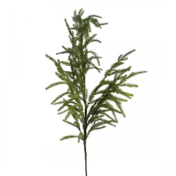 38"NATURAL NORFOLK PINE SPRAY