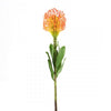 21"PINCUSHION PROTEA ORANGE