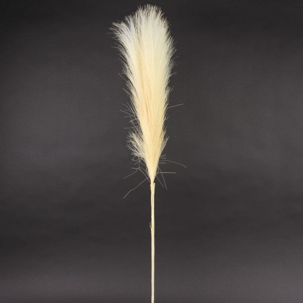 50"NANTUCKET GRASS PLUME