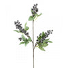 25" BLUEBERRY SPRAY