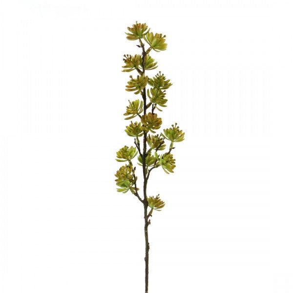 22"SUCCULENT SPIKE SPRAY
