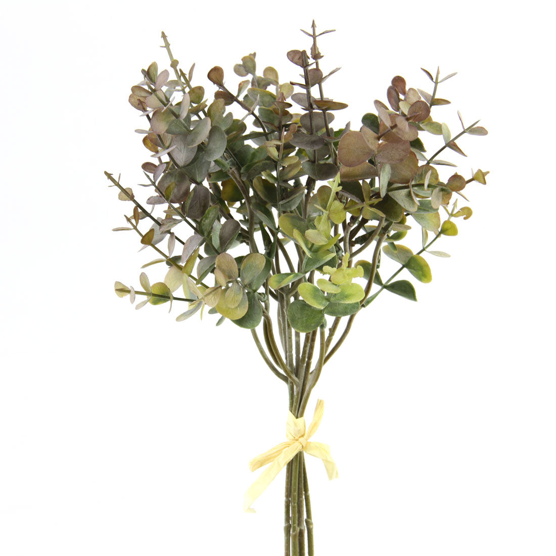 13"EUCALYPTUS BUNCH A25