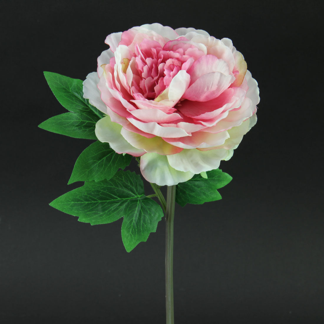 12"CUT PEONY STEM BLUSH