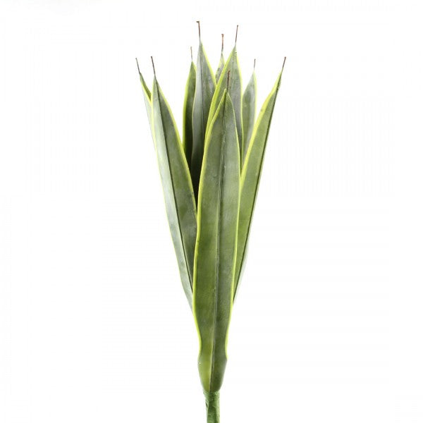 32"AGAVE PLANT