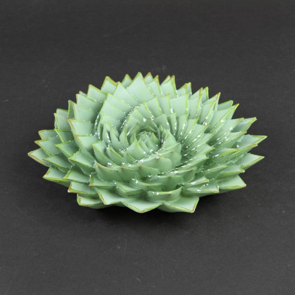 9"PINWHL SUCCULENT WALL PLQUE