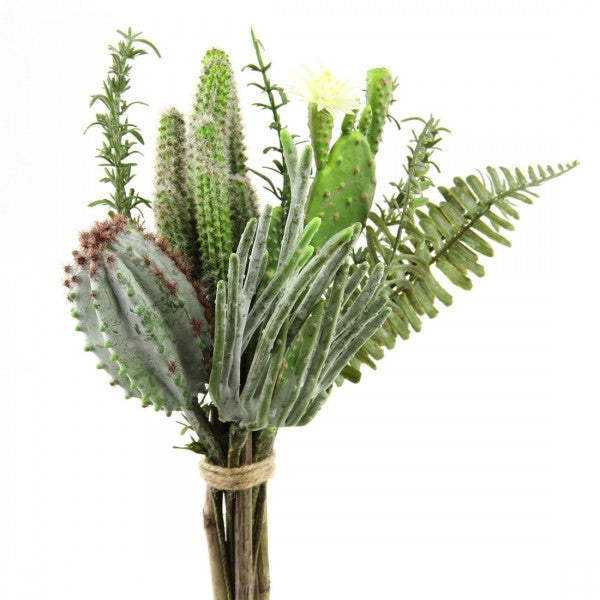 13.5"FLWRNG.CACTUS BUNDLE