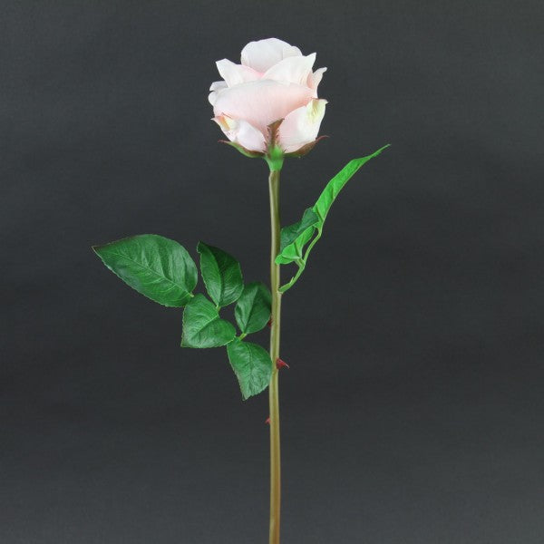 24"JUST CUT GARDEN ROSE