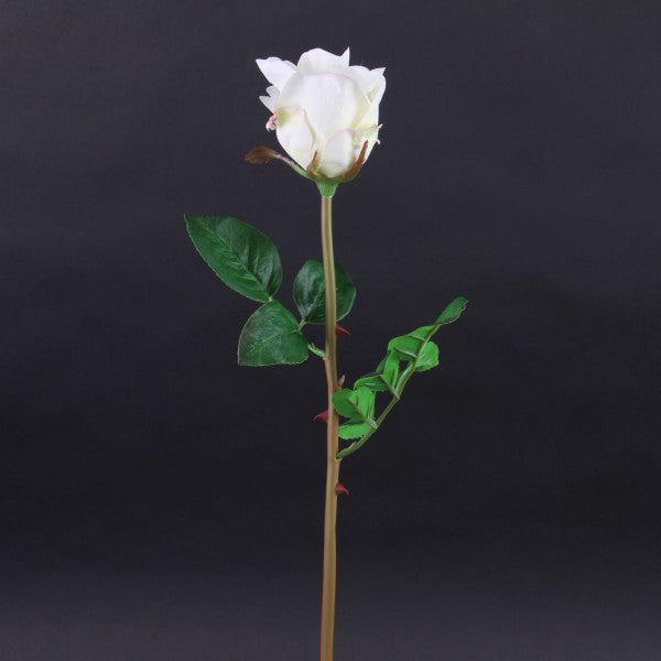 24"JUST CUT GARDEN ROSE