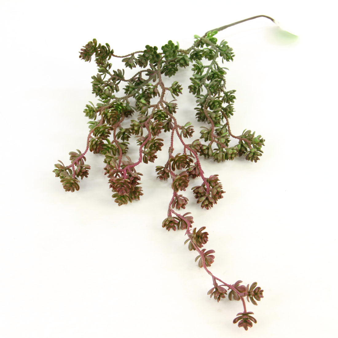 24"HANGING SUCCULENT VINE