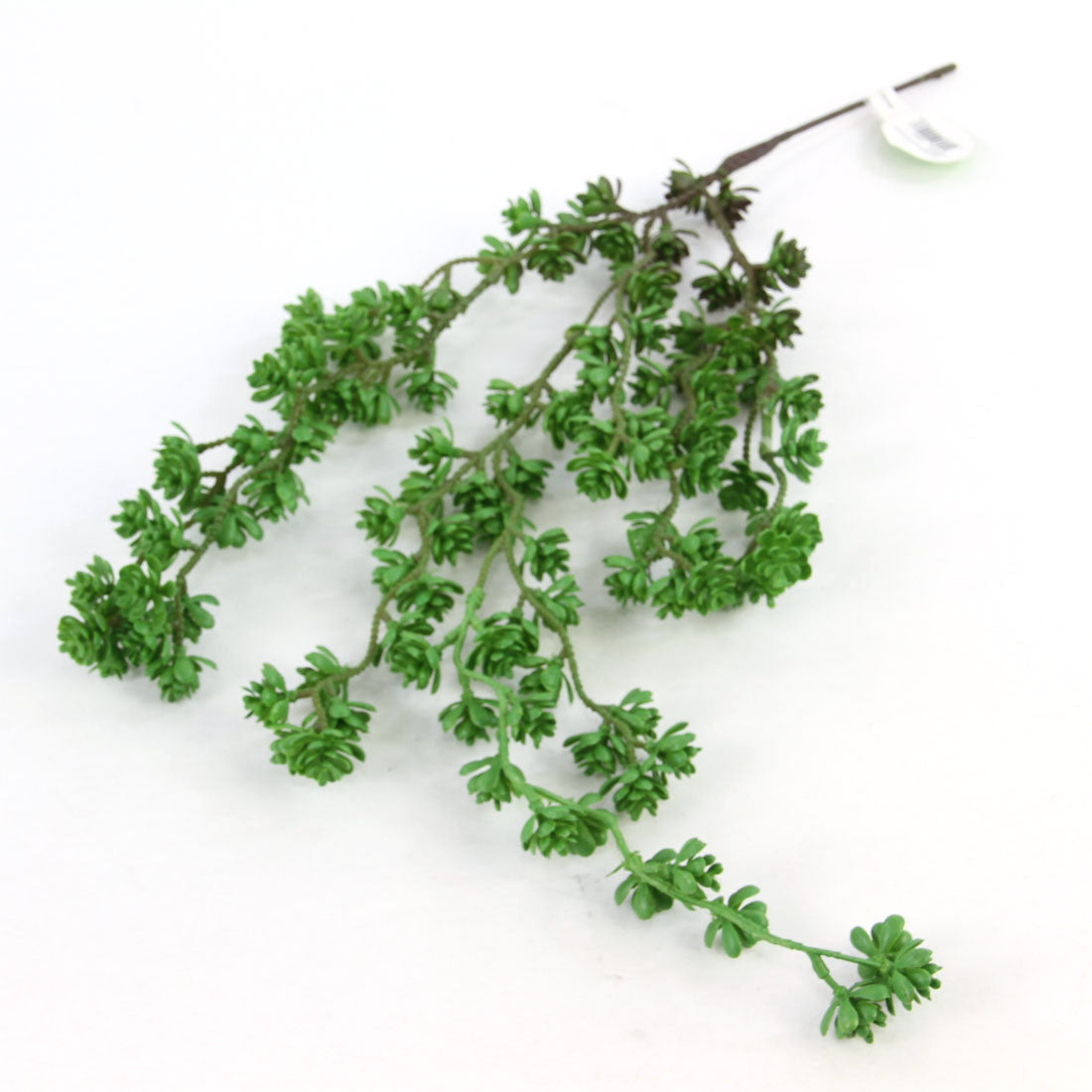 24"HANGING SUCCULENT VINE
