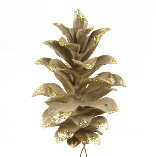 6"GLT.TIP SEQUOIA PINCONE A25
