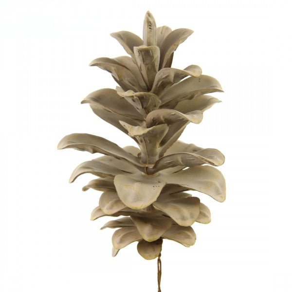 6"SEQUOIA PINECONE A25